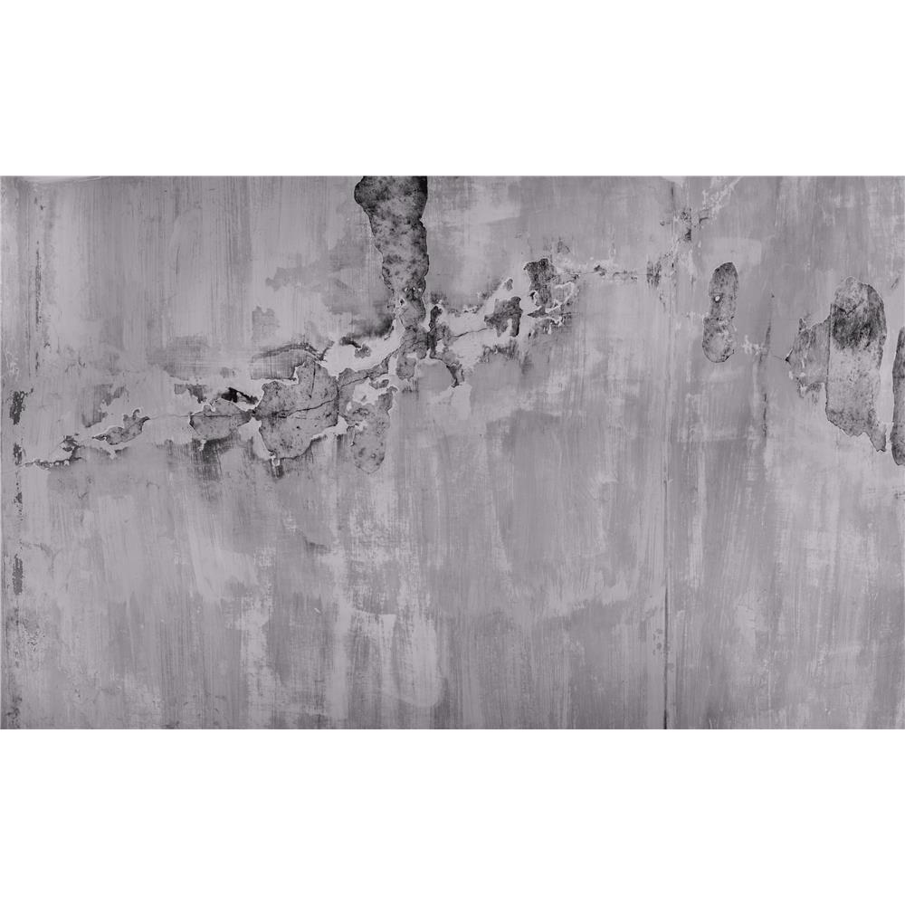 Washington Wallcoverings 439915 Factory II Pale Gray Distressed Concrete Wall Mural 14 Ft X 8.6 Ft